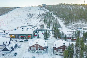 Aavalevi Alpine Chalet Central